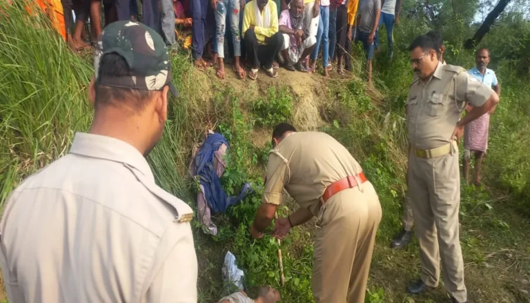 4871c106c04a82b65bc343de7db45d6ef64ab059cd043840b561ea960611429d.0