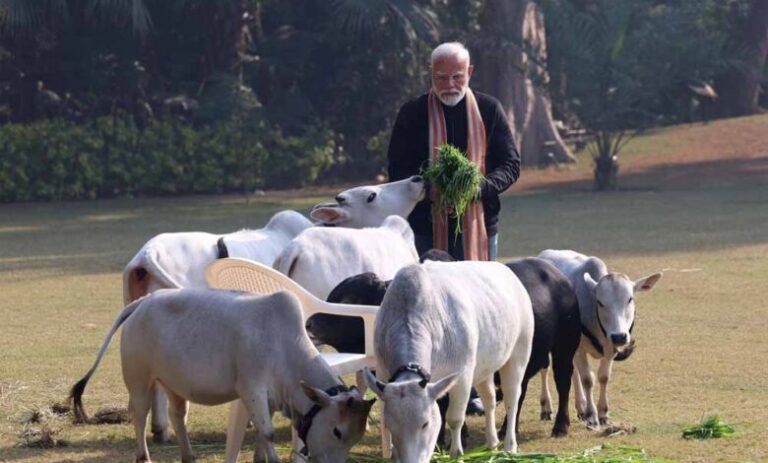 मोदी गायों को चारा खिलाते नजर आ रहे, इंटरनेट पर