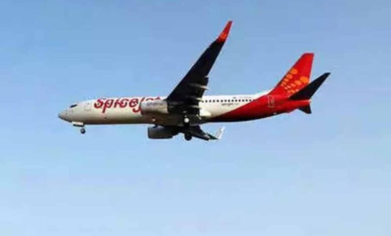 डीजीसीए का कहना है कि एक 737 मैक्स विमान में